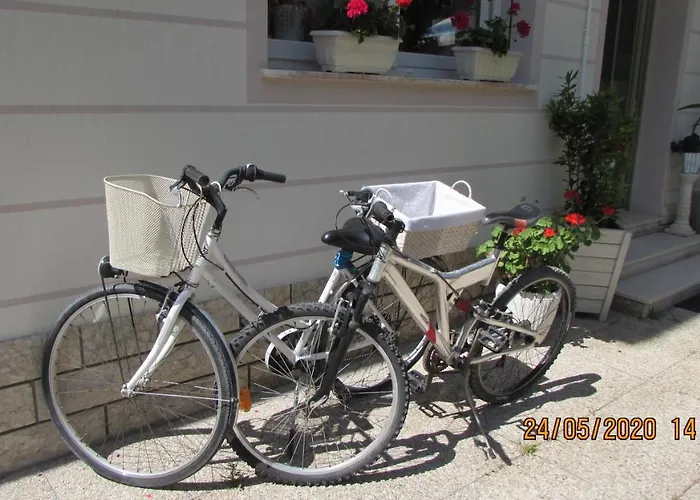 Lambusta 체제나티코