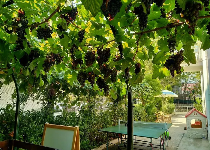 Lambusta 체제나티코